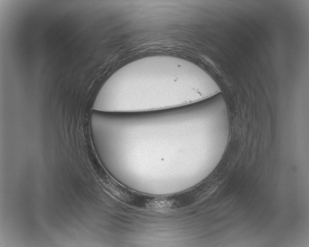 X0000061720217200512161604