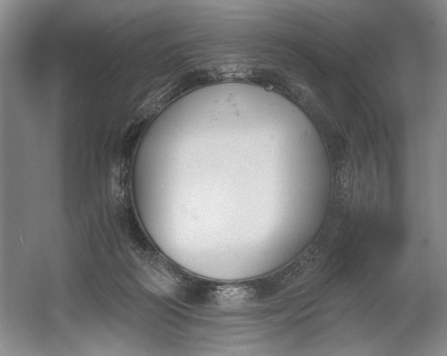 X0000061720218200512161604