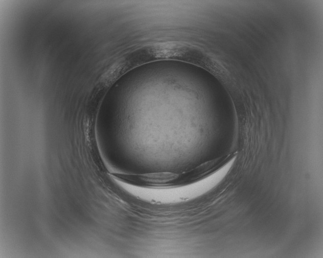 X0000061720219200512161604