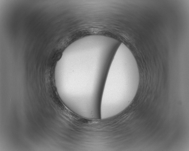 X0000061720221200512161604