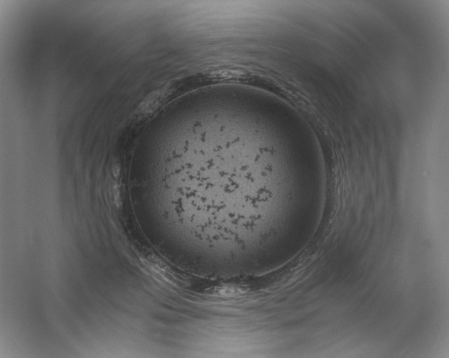 X0000061720223200512161604