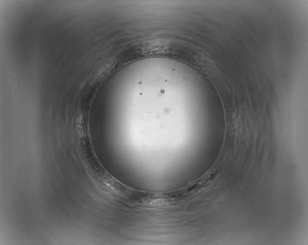 X0000061720224200512161604