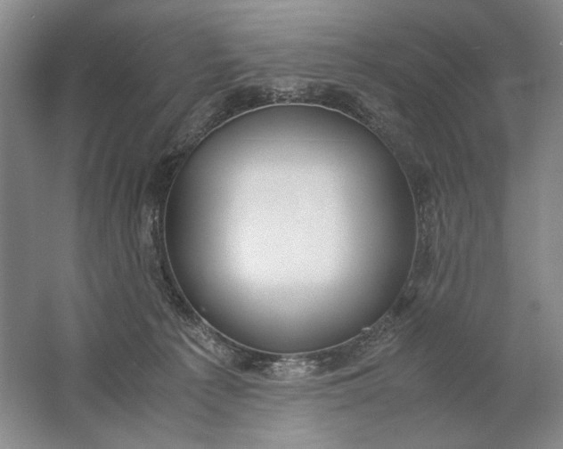 X0000061720225200512161604