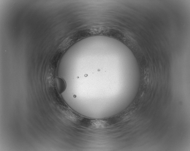 X0000061720226200512161604