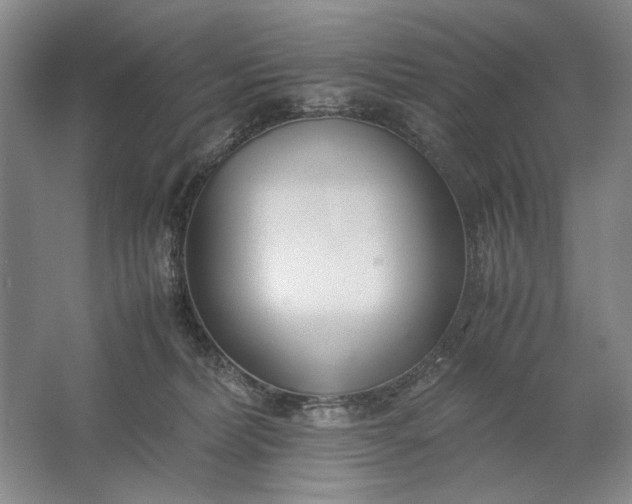 X0000061720228200512161604