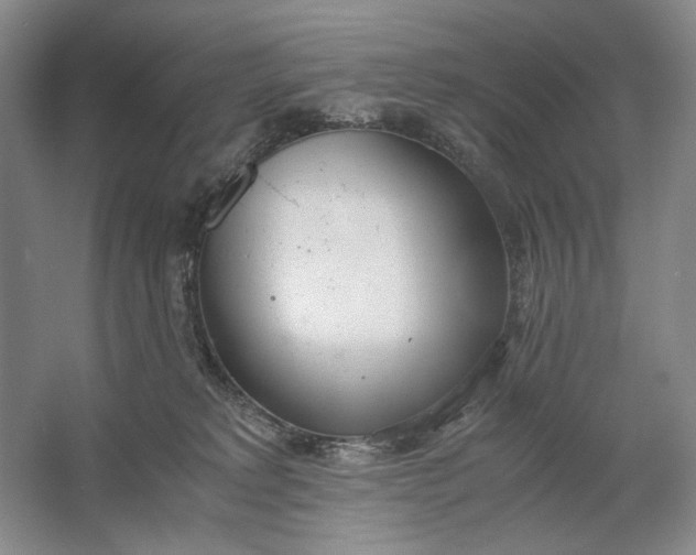 X0000061720229200512161604