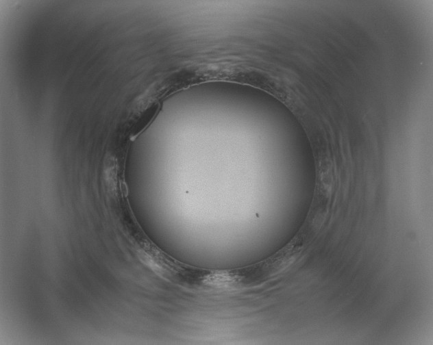 X0000061720231200512161604