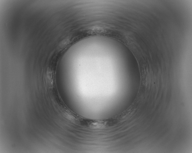 X0000061720232200512161604