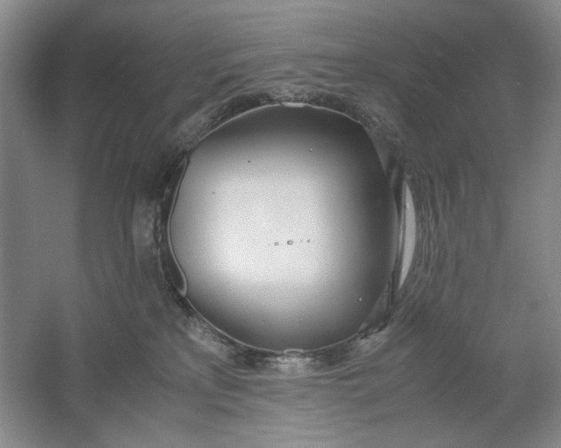 X0000061720233200512161604