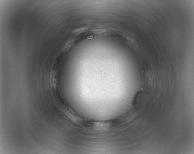 X0000061720234200512161603