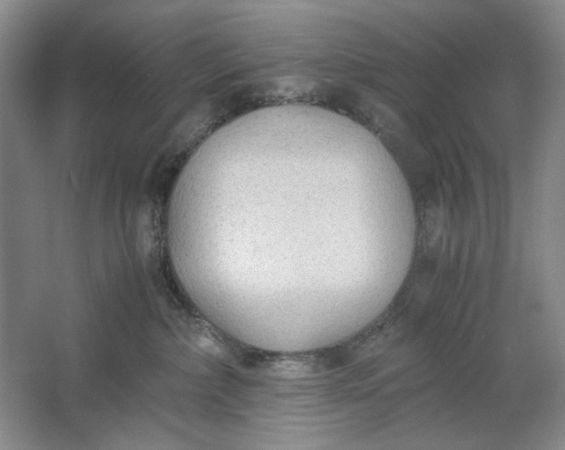 X0000061720236200512161603