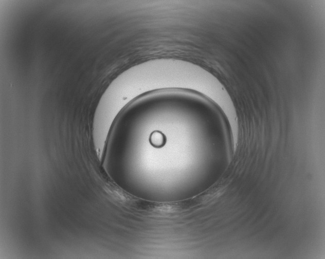 X0000061720237200512161603