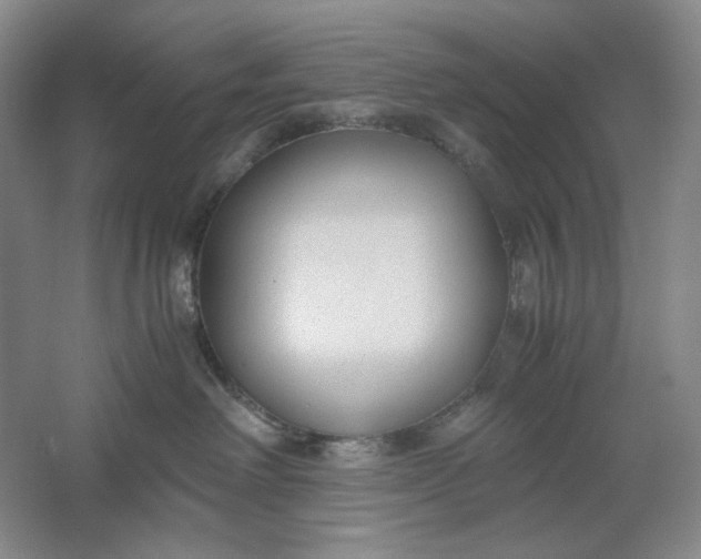 X0000061720238200512161603