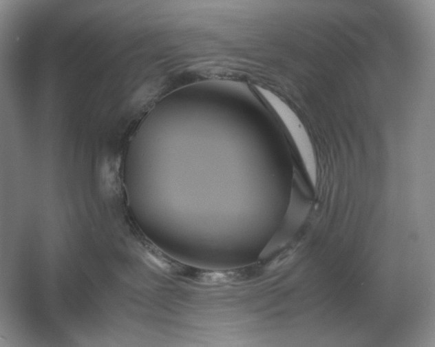 X0000061720239200512161603