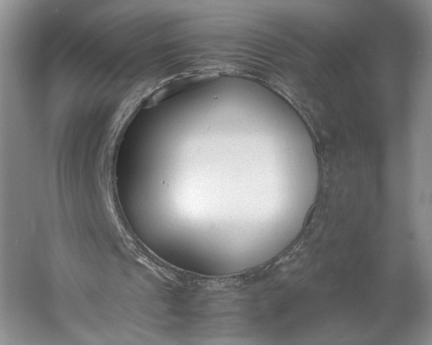 X0000061720241200512161603