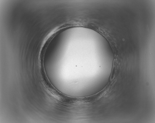 X0000061720246200512161603