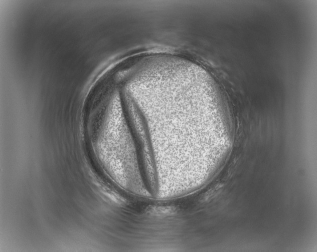 X0000061720247200512161603