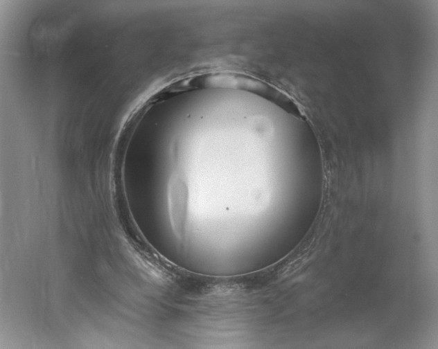 X0000061720248200512161603