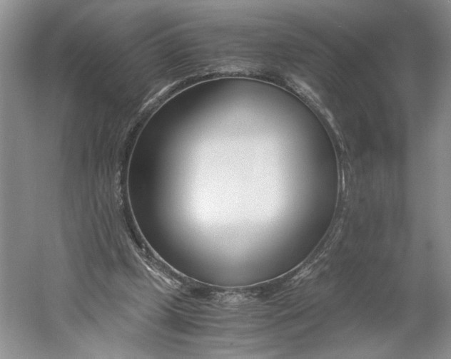 X0000061720249200512161603