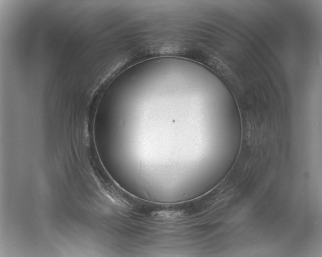 X0000061720251200512161603