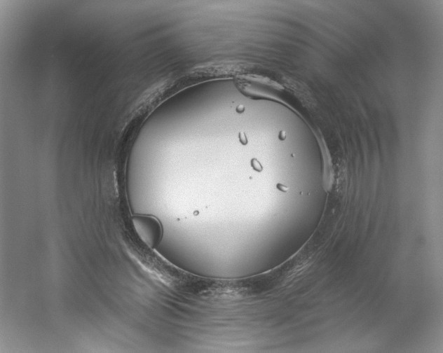 X0000061720254200512161603