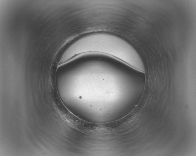 X0000061720256200512161603