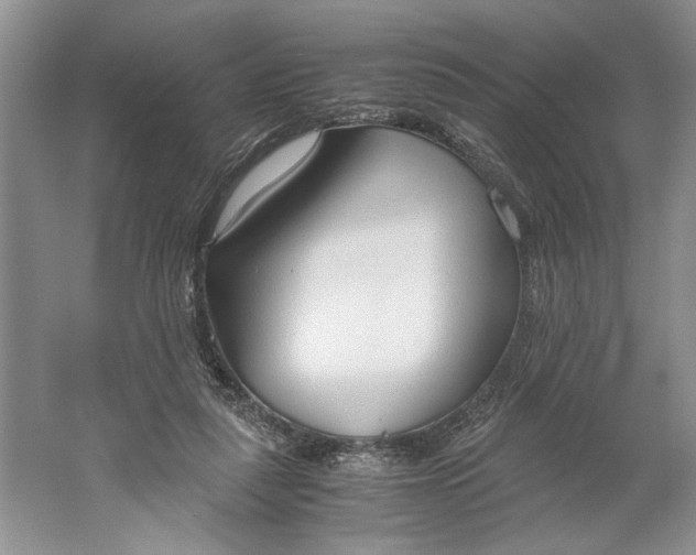 X0000061720259200512161603