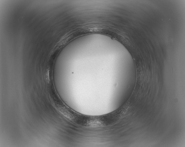 X0000061720262200512161603