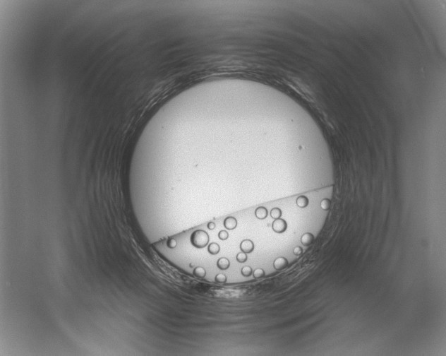 X0000061720265200512161603