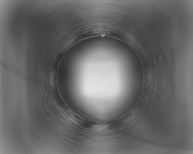 X0000061720266200512161603