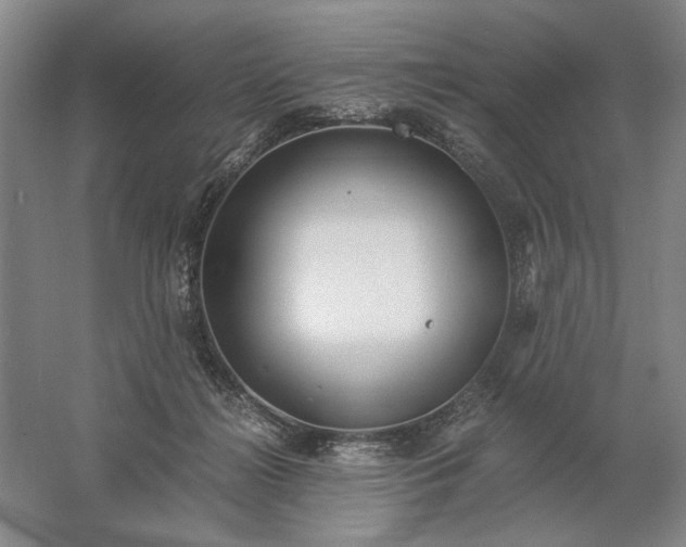 X0000061720268200512161603