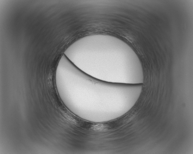 X0000061720269200512161603