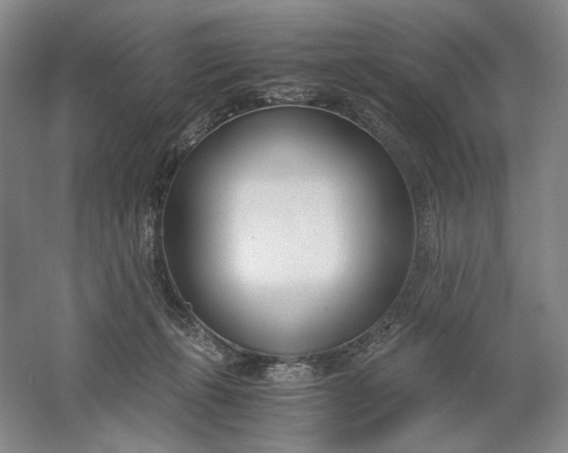 X0000061720271200512161603