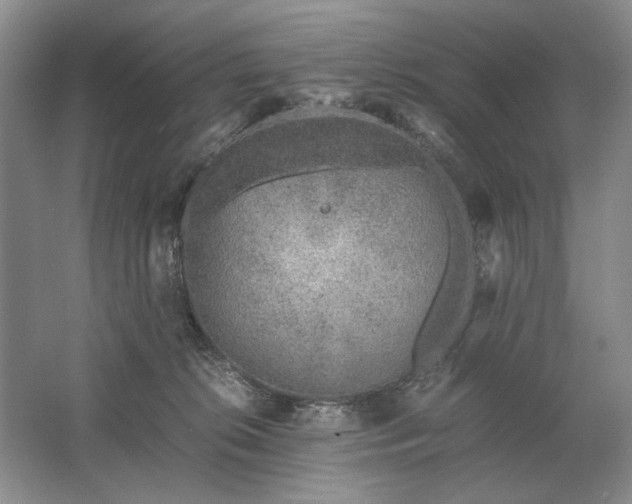 X0000061720276200512161603