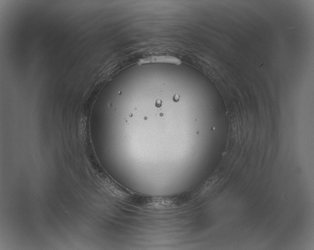 X0000061720278200512161603