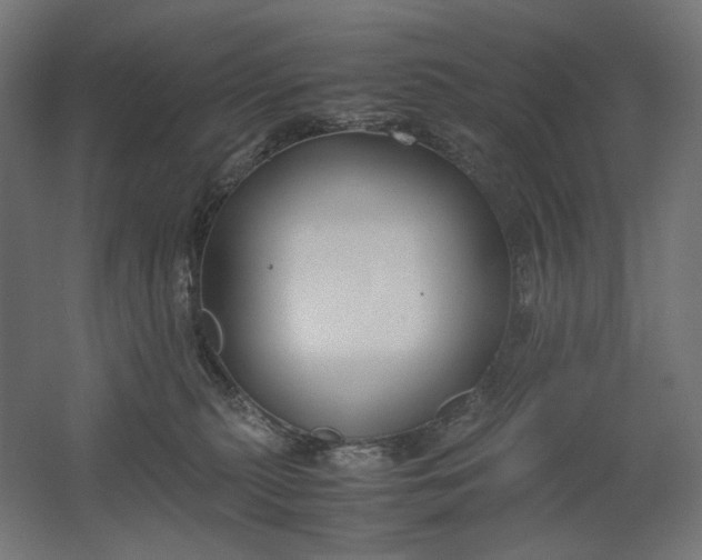 X0000061720279200512161603