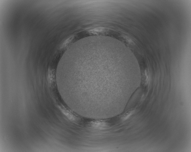 X0000061720284200512161603