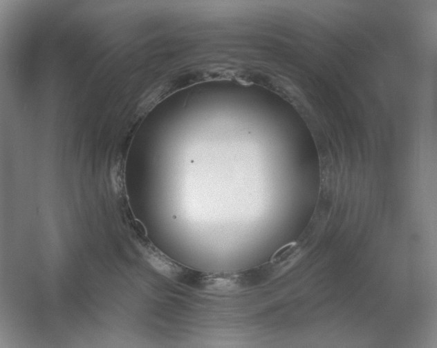 X0000061720285200512161603