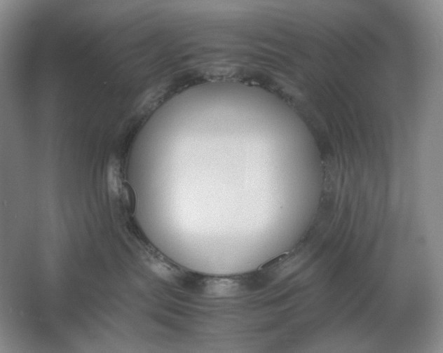 X0000061720287200512161603