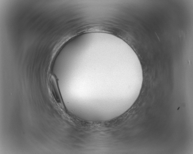 X0000061720289200512161603