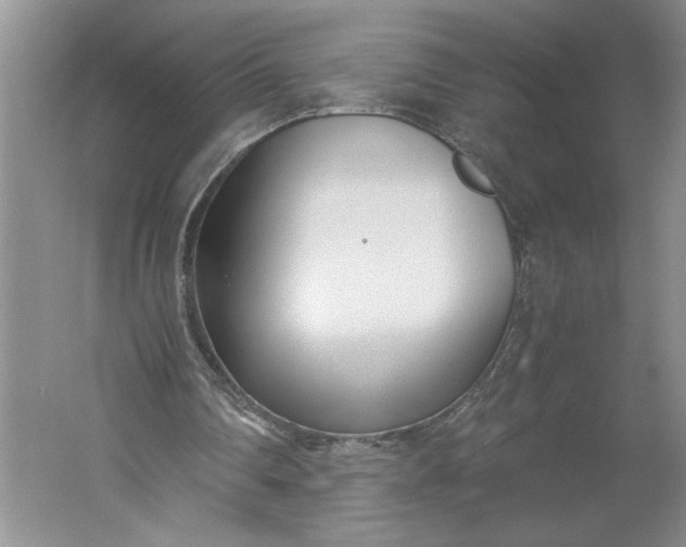 X0000061720290200512161603