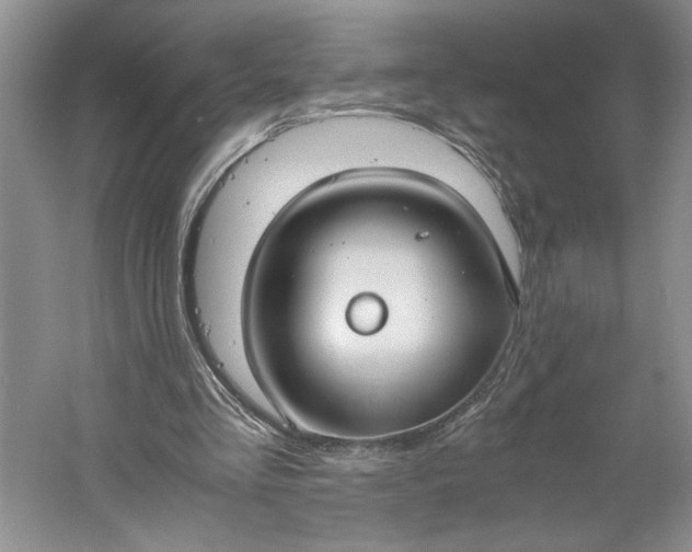 X0000061720293200512161602