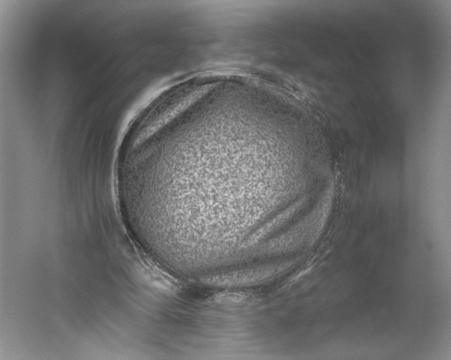 X0000061720294200512161602