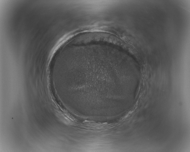 X0000061720295200512161602