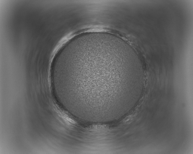 X0000061720296200512161602