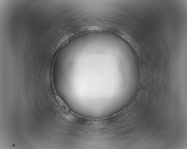 X0000061720297200512161602