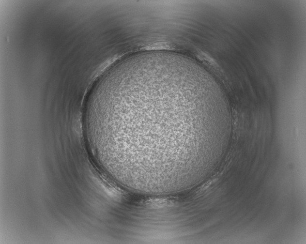 X0000061720298200512161602