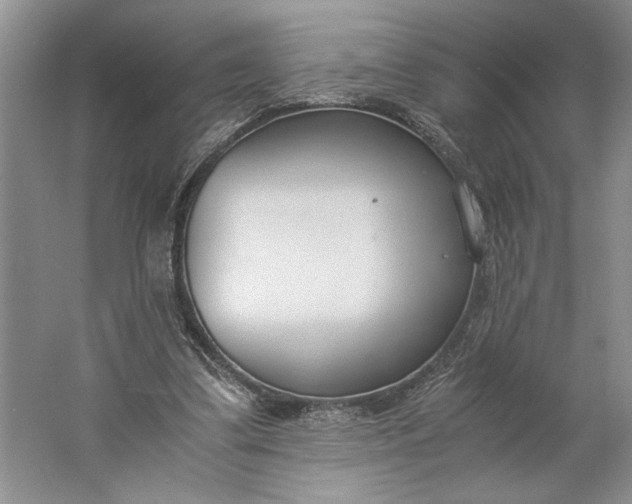 X0000061720299200512161602