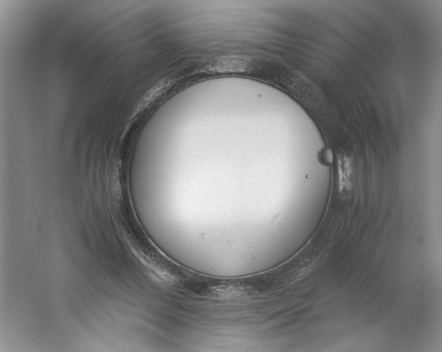 X0000061720300200512161602