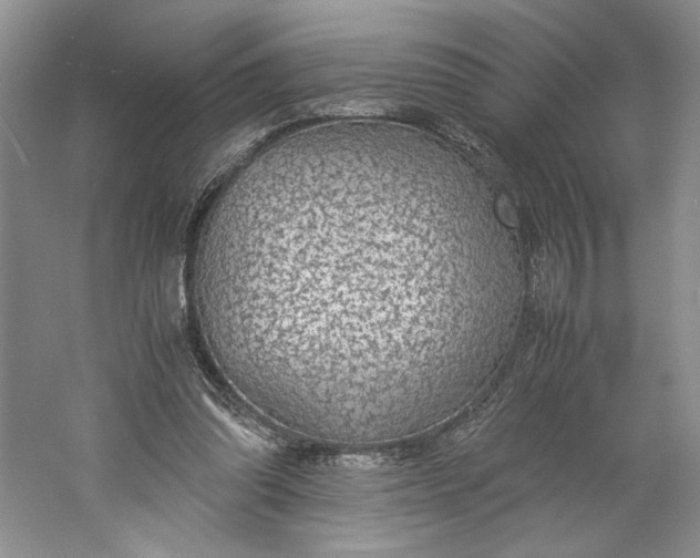 X0000061720302200512161602